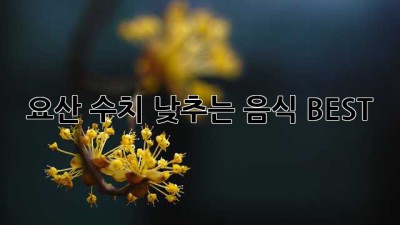 요산 수치 낮추는 음식 BEST